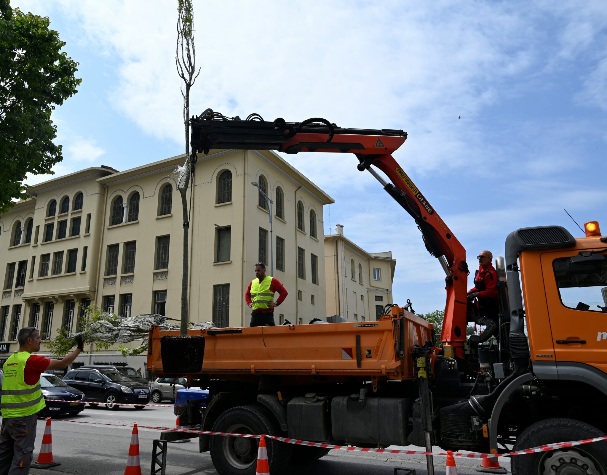 Antikatastasi-Dentrwn-Tsimiski2